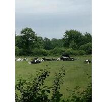 Ferienwohnung frei, Kurzurlaub, Nordsee Nähe, v. Tiere - Delve