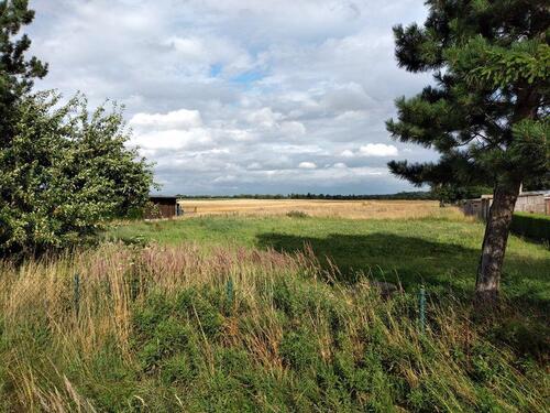 Foto - Grundst&uuml;ck zum Kaufen in Ahrenshagen-Daskow