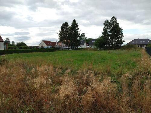 Foto - Grundst&uuml;ck in Ahrenshagen-Daskow