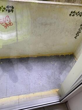 Foto - Etagenwohnung in Dortmund zur Miete