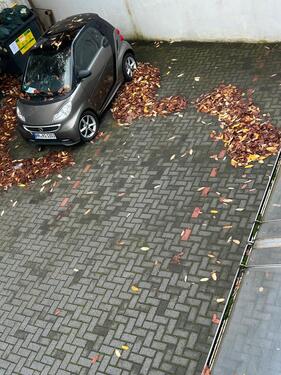 Foto - PKW Stellplatz SchanzeSchulterblatt