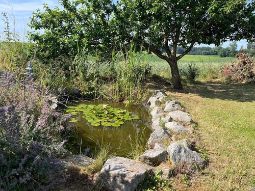 Foto - Einfamilienhaus mit Doppelgarage und Garten