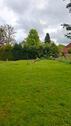 Foto - 7 Zimmer Einfamilienhaus in Rotenburg an der Fulda