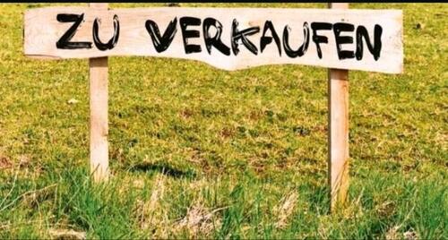 Foto - Bauland Grundstück AlpenMenzelen-Ost