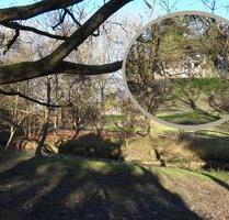 Gartencafé direkt an einem Frankfurter Park auf 2300qm-KAUFOBJEKT - Frankfurt am Main Sossenheim