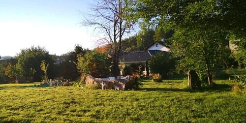 Foto - Einfamilienhaus in Spiegelau