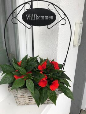 Foto - andere zur Miete in Friedrichshafen