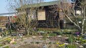 Foto - Garten Pacht - 1.500,00 EUR Kaltmiete, ca.  0,00 m²