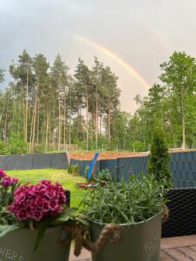 Foto - Einfamilienhaus zur Miete in Cottbus