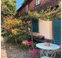 Kleine Wohnung an einzelne Person - Breisach am Rhein