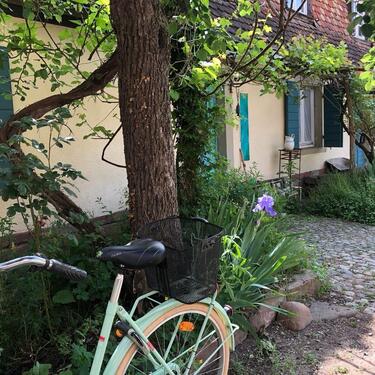 Foto - Etagenwohnung in Breisach am Rhein zur Miete