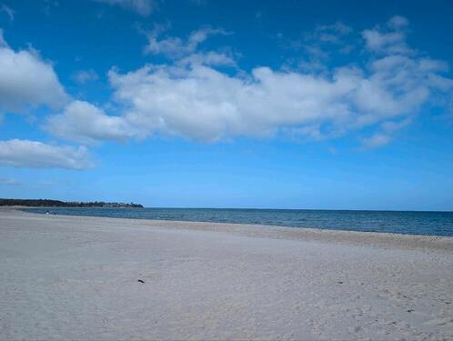 Foto - Sommer an der Ostsee! Vermietung Sehlendorf Hohwacht