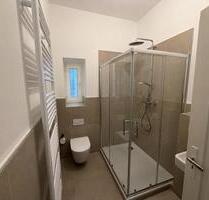 Erstbezug nach Kernsanierung: 3-Zimmer-Altbau im Herzen von FT - Frankenthal (Pfalz)