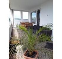 TRAUMHAFTES ⭐️⭐️⭐️⭐️ PENTHOUSE - 199.000,00&nbsp;EUR Kaufpreis, ca.&nbsp; 80,00&nbsp;m&sup2; in Hirschau (PLZ: 92242)