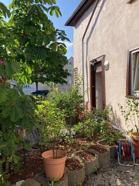 Foto - Einfamilienhaus in Butzbach
