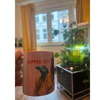 Zwischenmiete ab 10.04. in schöner Wohnung in Nippes - Köln Zwischenmiete ab 10.04. in schöner Wohnung in Nippes - Köln