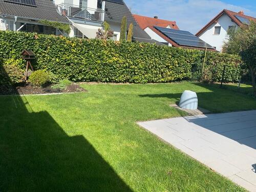 Foto - Reihenhaus in Weisweil zum Kaufen