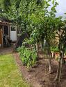 Foto - Einfamilienhaus in Sundhagen