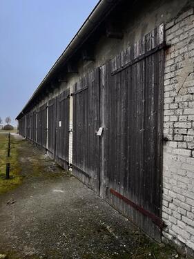 Foto - andere in Letschin