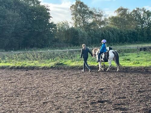 Foto - Auszeit auf dem Ponyhof - 125,00 EUR Kaltmiete,