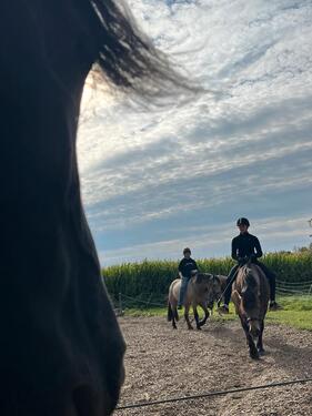 Foto - andere zur Miete in Gelting