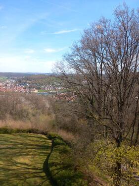 Foto - Wohnen wie im Urlaub mit Blick auf den Main und die Natur
