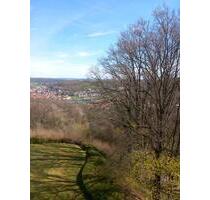 Wohnen wie im Urlaub mit Blick auf den Main und die Natur - Wertheim