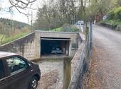 Foto - Einfamilienhaus in Billigheim zum Kaufen