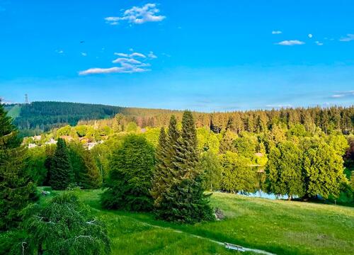Foto - andere in Goslar zur Miete