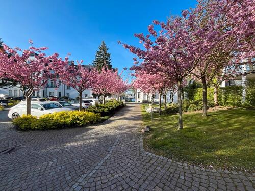 Foto - andere in Oldenburg zur Miete