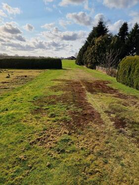 Foto - Einfamilienhaus in Weener zum Kaufen