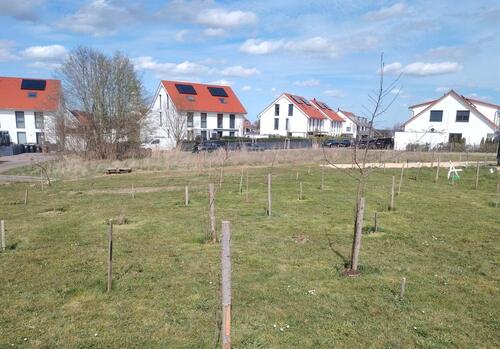 Foto - Grundst&uuml;ck in Senden