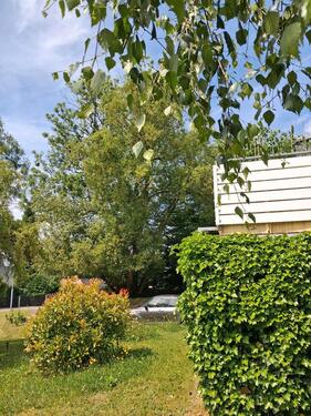 Foto - Einfamilienhaus zum Kaufen in Kaulsdorf