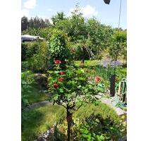 Kleingarten zur Pachtübernahme - 1.000,00 EUR Kaltmiete, ca.  0,00 m² in Cottbus (PLZ: 03042) Merzdorf