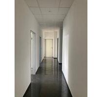 Schönes Eckbürozimmer in repräsentativem Gemeinschaftsbüro - Bremen Horn-Lehe