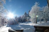 Foto - 5 Zimmer Einfamilienhaus in Suhl
