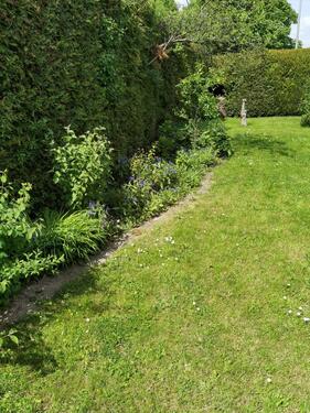 Foto - Einfamilienhaus zum Kaufen in Salzgitter