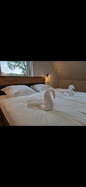 Foto - Ferienwohnung,Hundefreundlich im Grünen, Rad fahren im Emsland