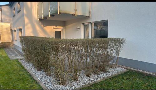 Foto - Erdgeschoßwohnung in Laudenbach zum Kaufen