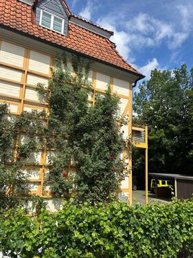 Foto - andere in Halberstadt