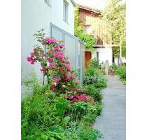 *** 2 Zi Whg im EG mit attraktivem Grundriss Münchner Umland EBK *** - Pliening