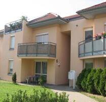 3 Zimmerwohnung in ruhiger grüner Wohnlage - Weinböhla