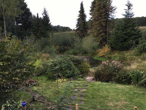 Foto - 7 Zimmer Einfamilienhaus zum Kaufen in Syke