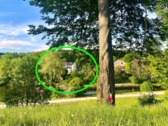 Foto - Etagenwohnung zum Kaufen in Potsdam