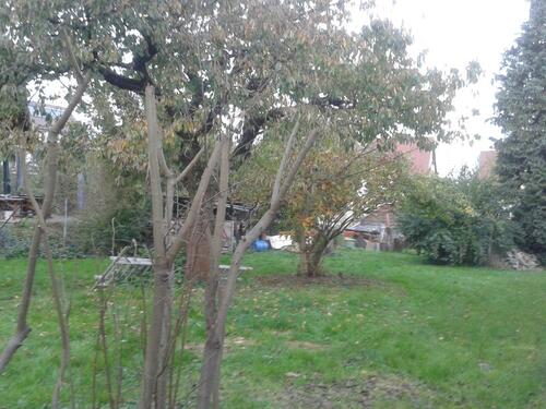 Foto - Traumhaftes Grundstück in ruhiger Lage