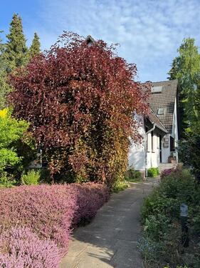 Foto - Einfamilienhaus in Hamburg zum Kaufen