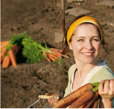 Foto - Gemüsegarten - 290,00&nbsp;EUR Kaltmiete, ca.&nbsp; 0,00&nbsp;m&sup2;