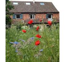 1-Zimmer Wohnung an einzelne Person - Breisach am Rhein