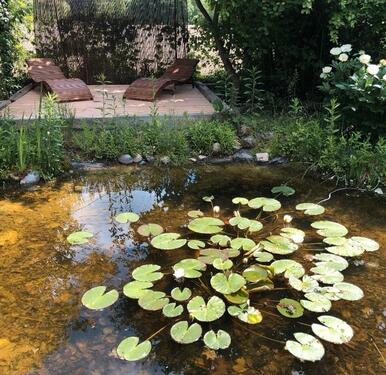 Foto - 1 Zimmer Etagenwohnung zur Miete in Breisach am Rhein