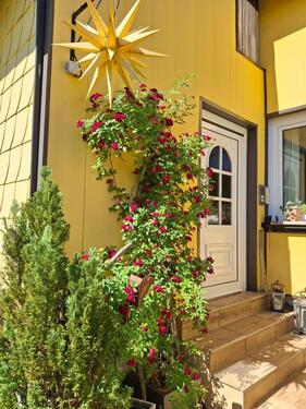Foto - Unser Sternenhaus am Diemelsee - möbliert und bezugsfertig